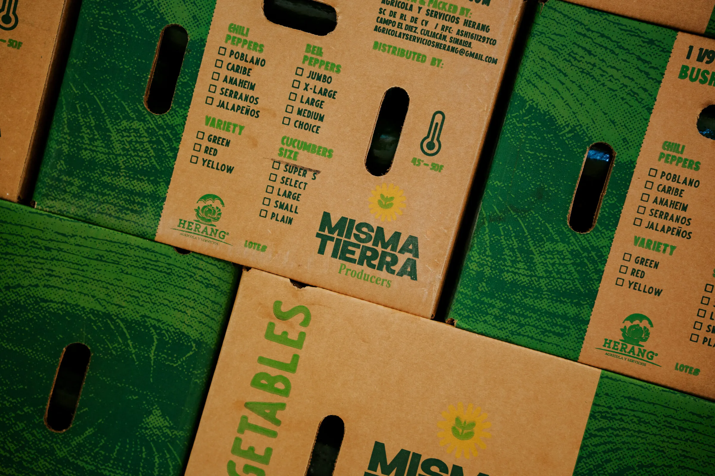 Cajas de exportación Misma Tierra