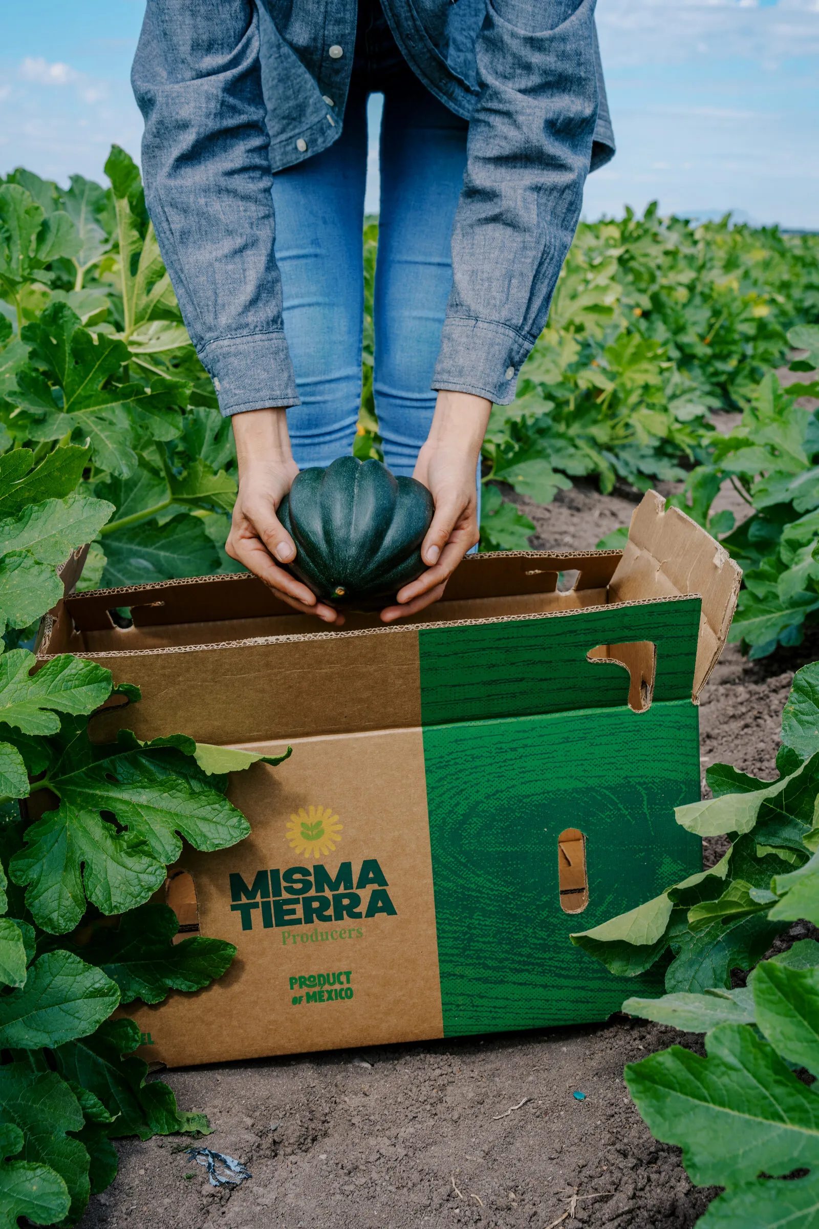 Hands placing squash into a Misma Tierra box